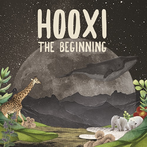 V.A - Hooxi, the Beginning