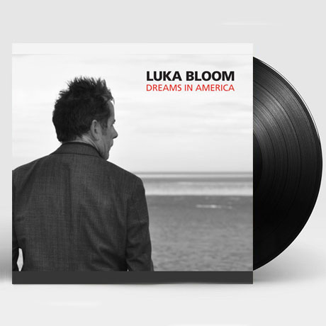 LUKA BLOOM - DREAMS IN AMERICA [수입] [LP/VINYL] 