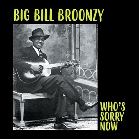BIG BILL BROONZY - WHO'S SORRY NOW [수입] [LP/VINYL] 