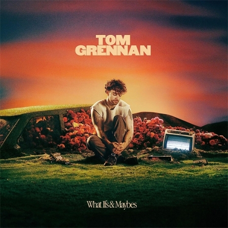 TOM GRENNAN - WHAT IFS & MAYBES [수입] [LP/VINYL]