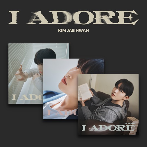 金在奂(KIM JAE HWAN) - I Adore [Random Cover]